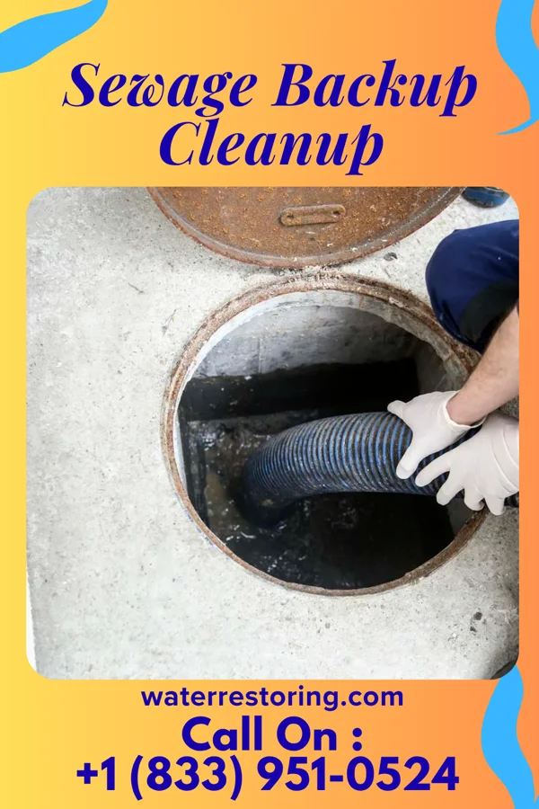 Sewage Backup Cleanup in Eagle Harbor, MD