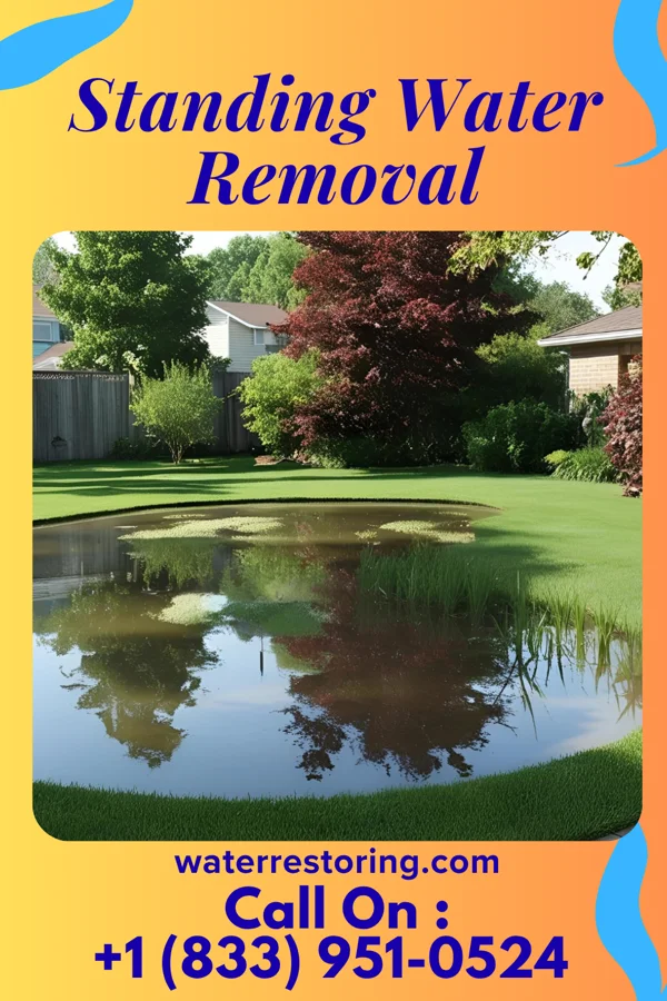 Standing Water Removal in Eagle Harbor, MD